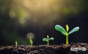 脱掉枷锁，走向新生