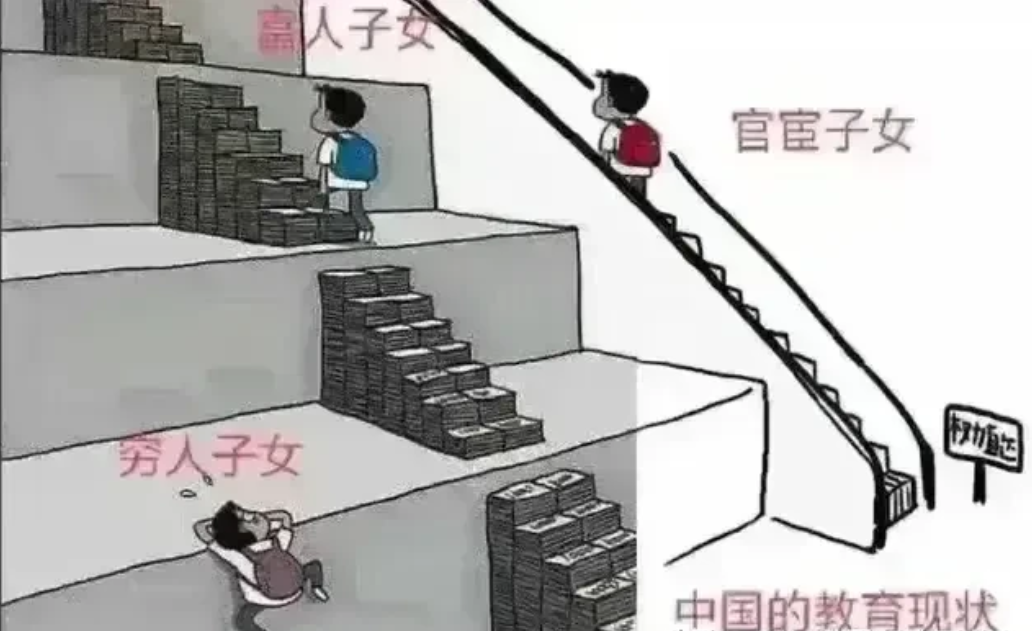 因为这样，所以你们选择不生吗？