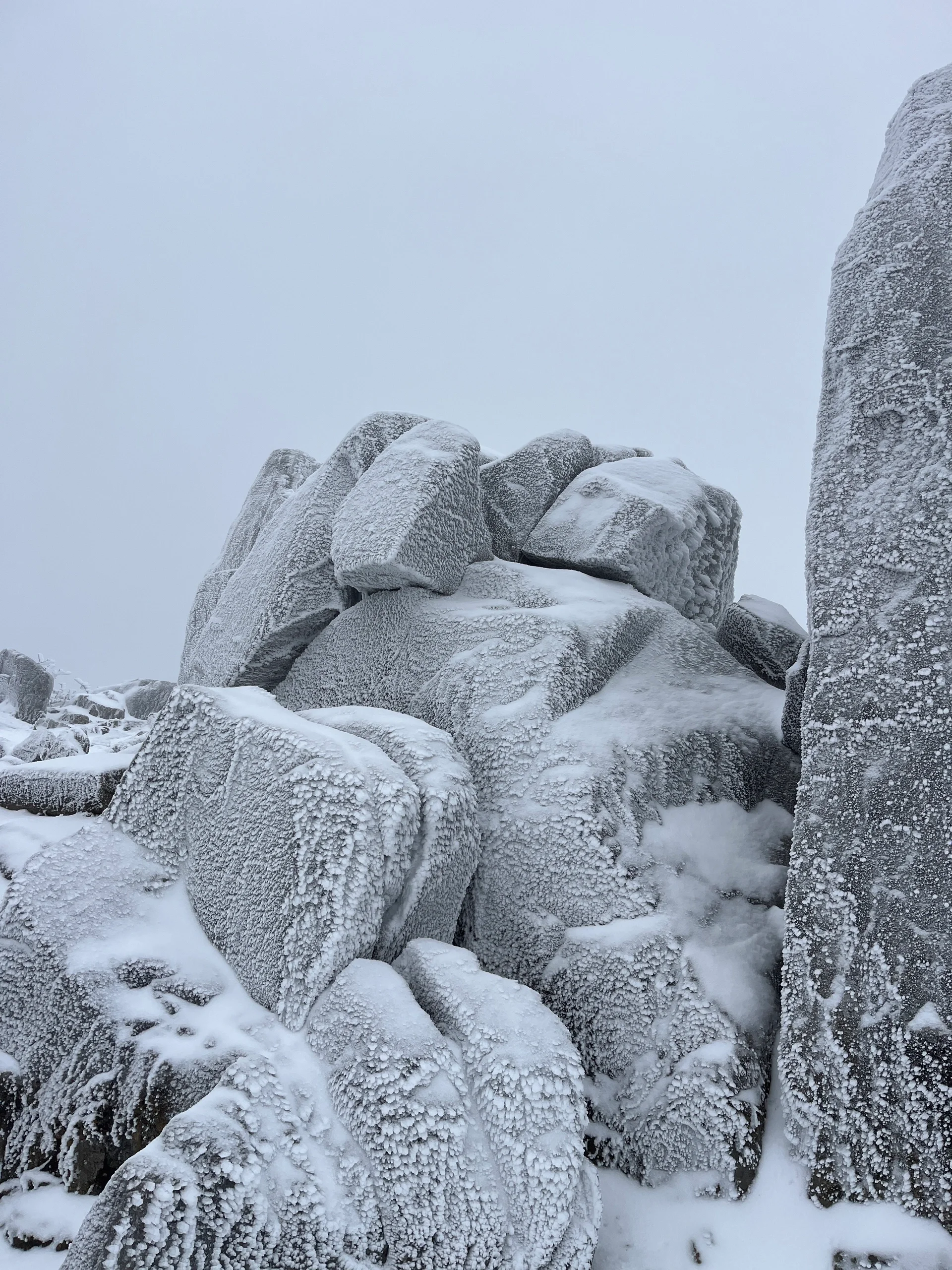 龙王山赏雪 | 美是美累断腿 