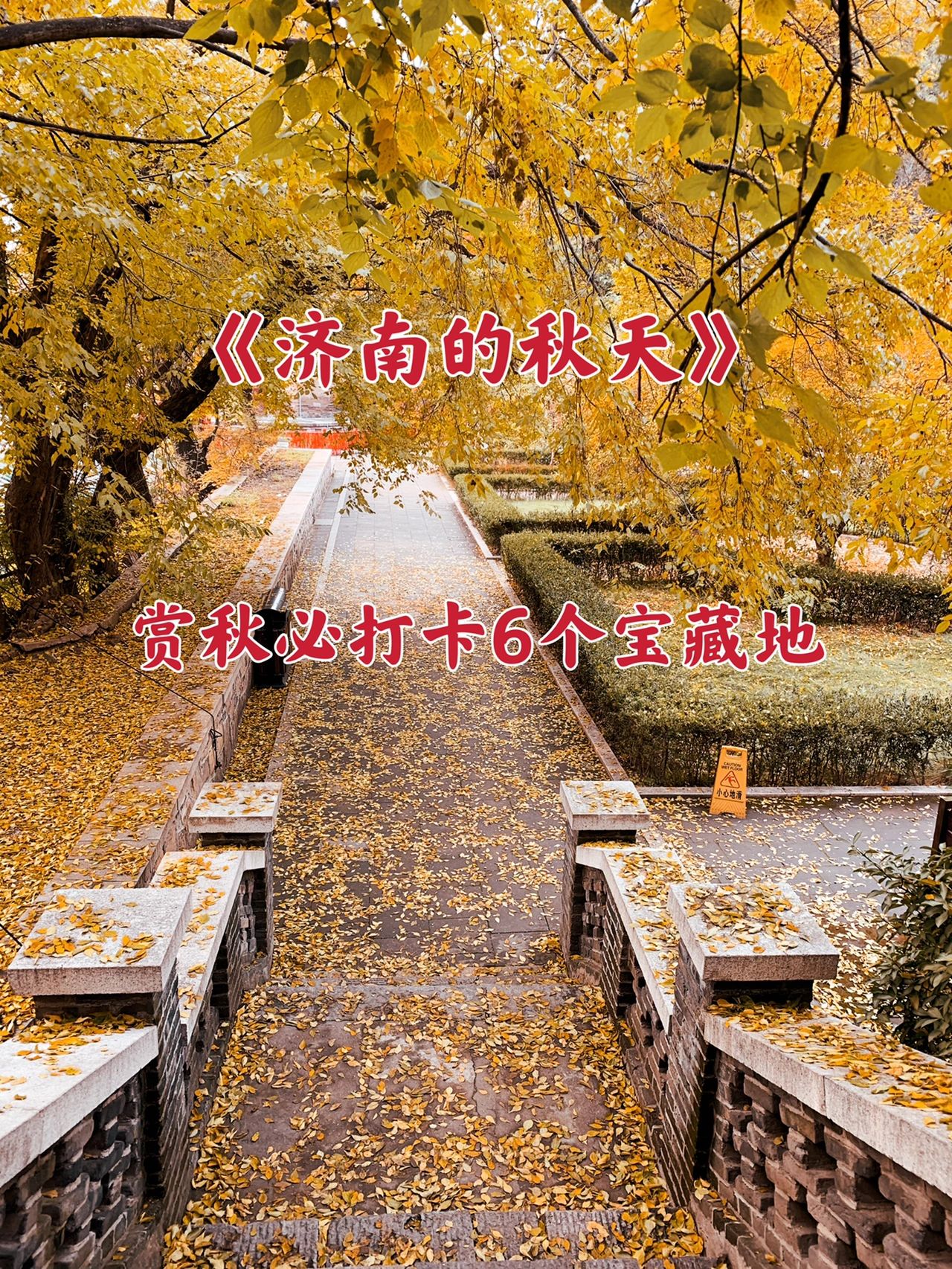 济南的秋天绚丽多彩，这些地方超美