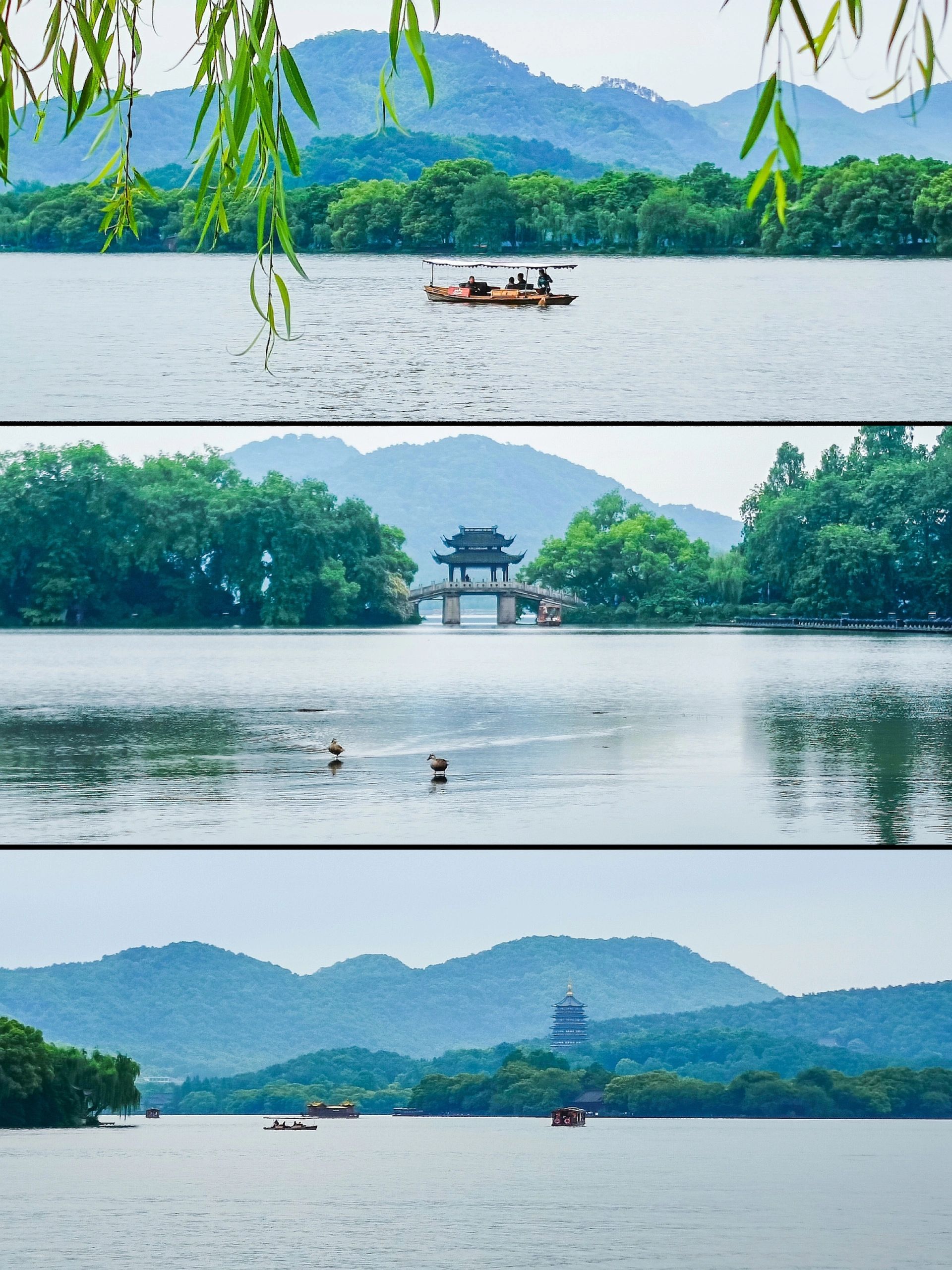 来西湖没来过北山街等于白来