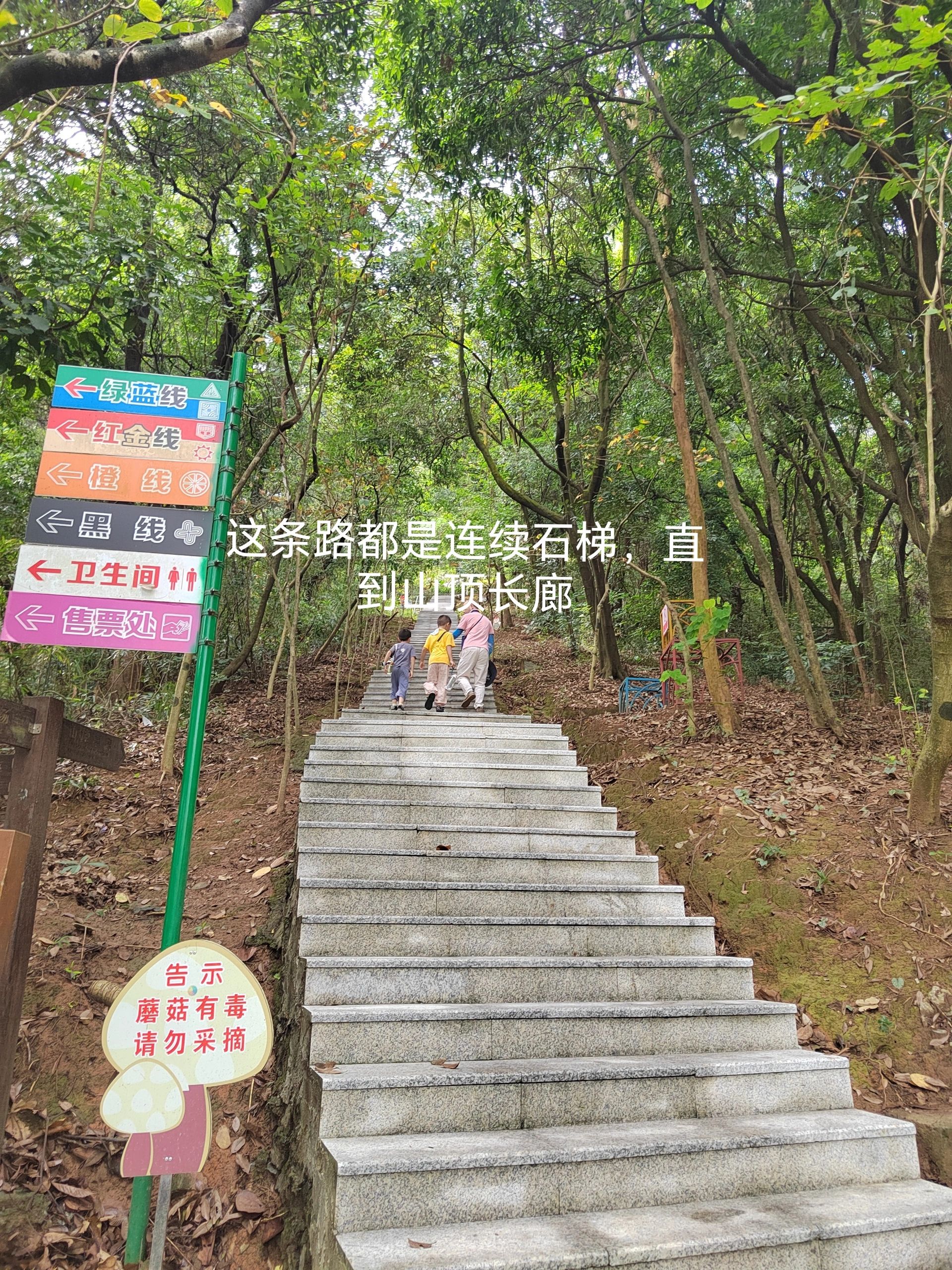 广州亲子爬山：天鹿湖2KM小环线