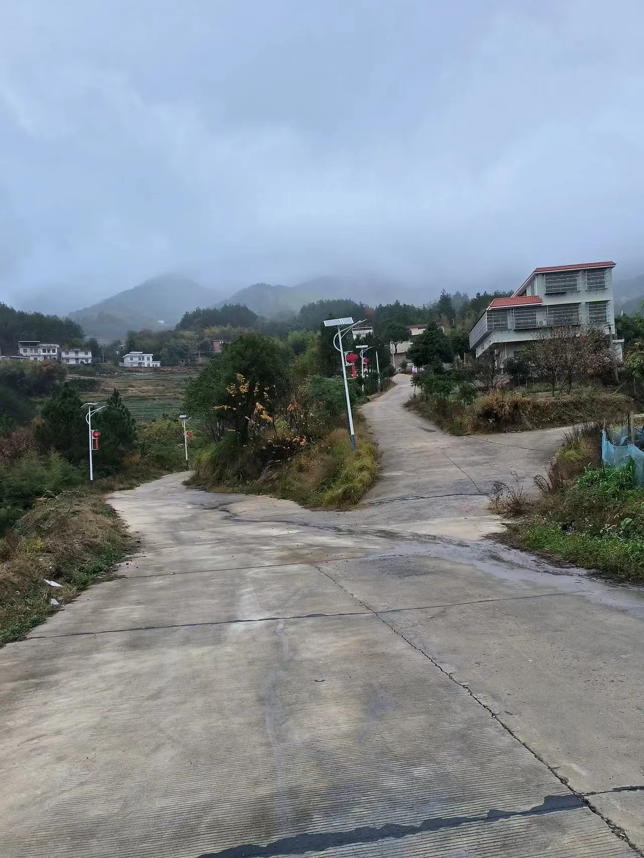 我小舅，红斑狼疮，16岁得病，22岁去世
周海媚，再有钱，目前也治不好红斑狼疮。