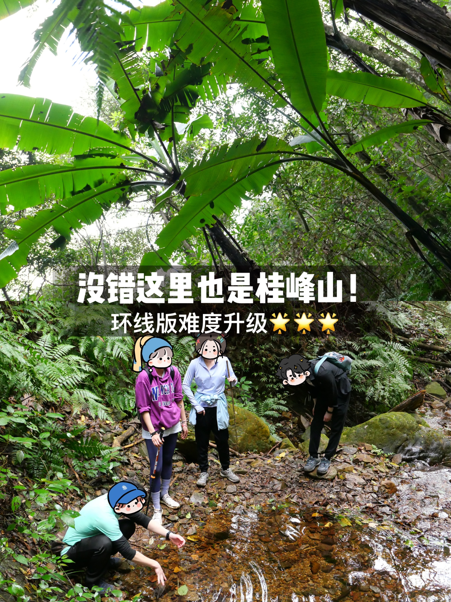 徒步｜不一样的桂峰山