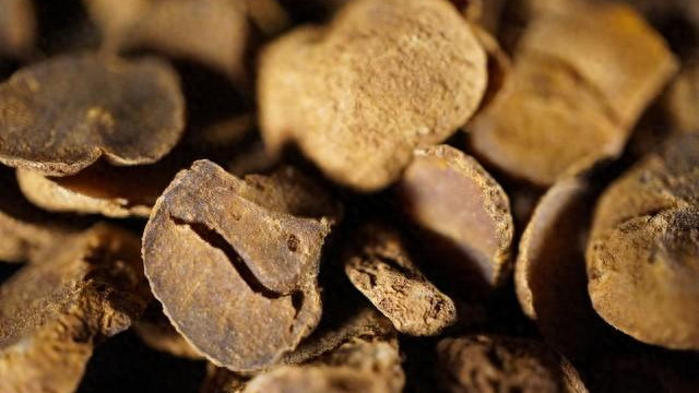 一味中草药止痛，治一身上下诸痛，头、胃、腰、脚全包管