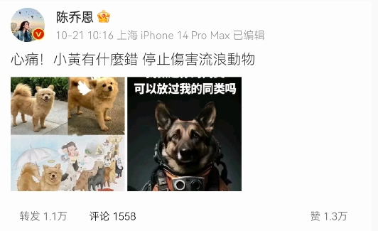如何看待为流浪狗发声的明星陈乔恩？