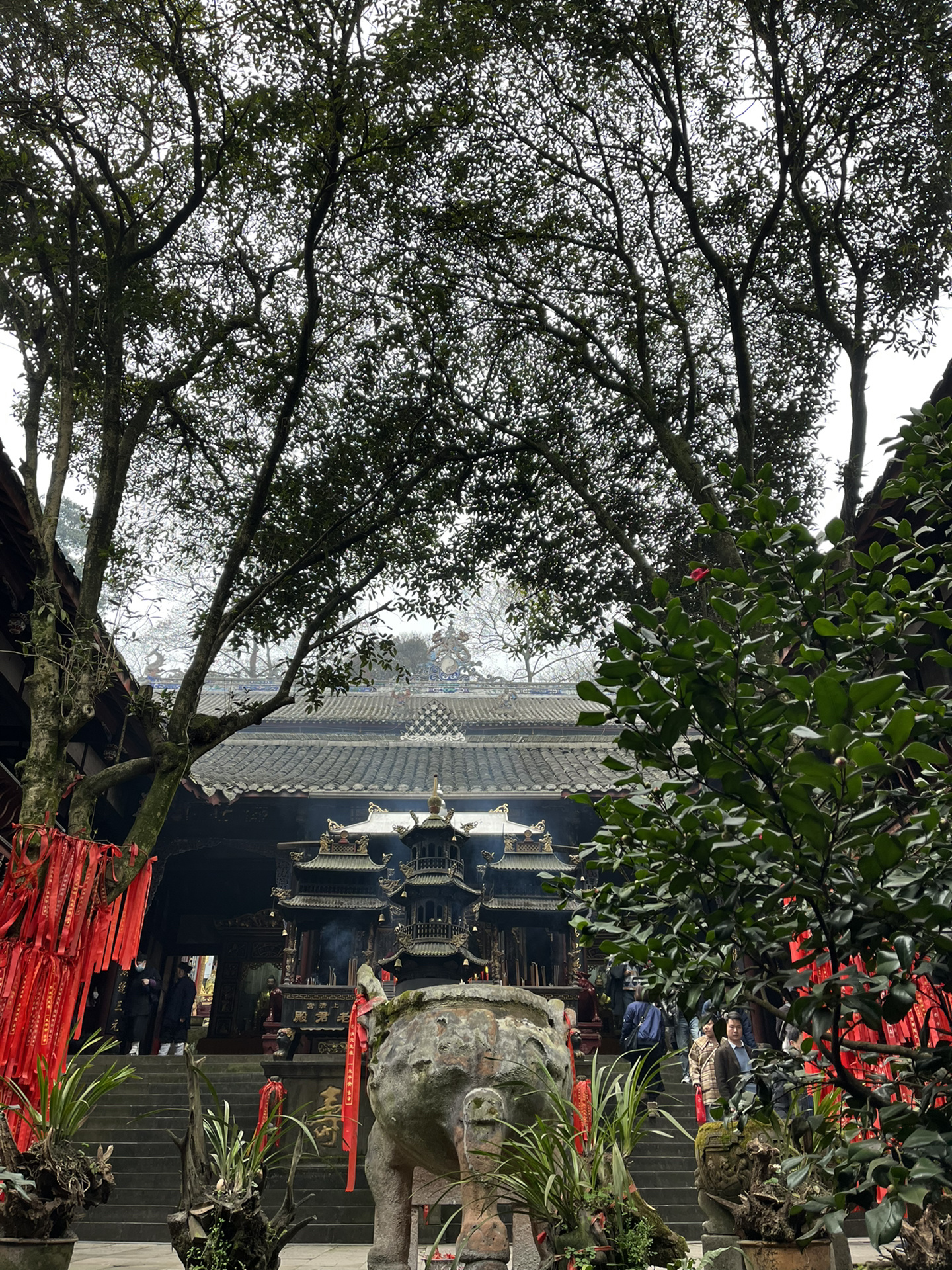 独幽幽的青城山～腿已废的二娃爸爸总结