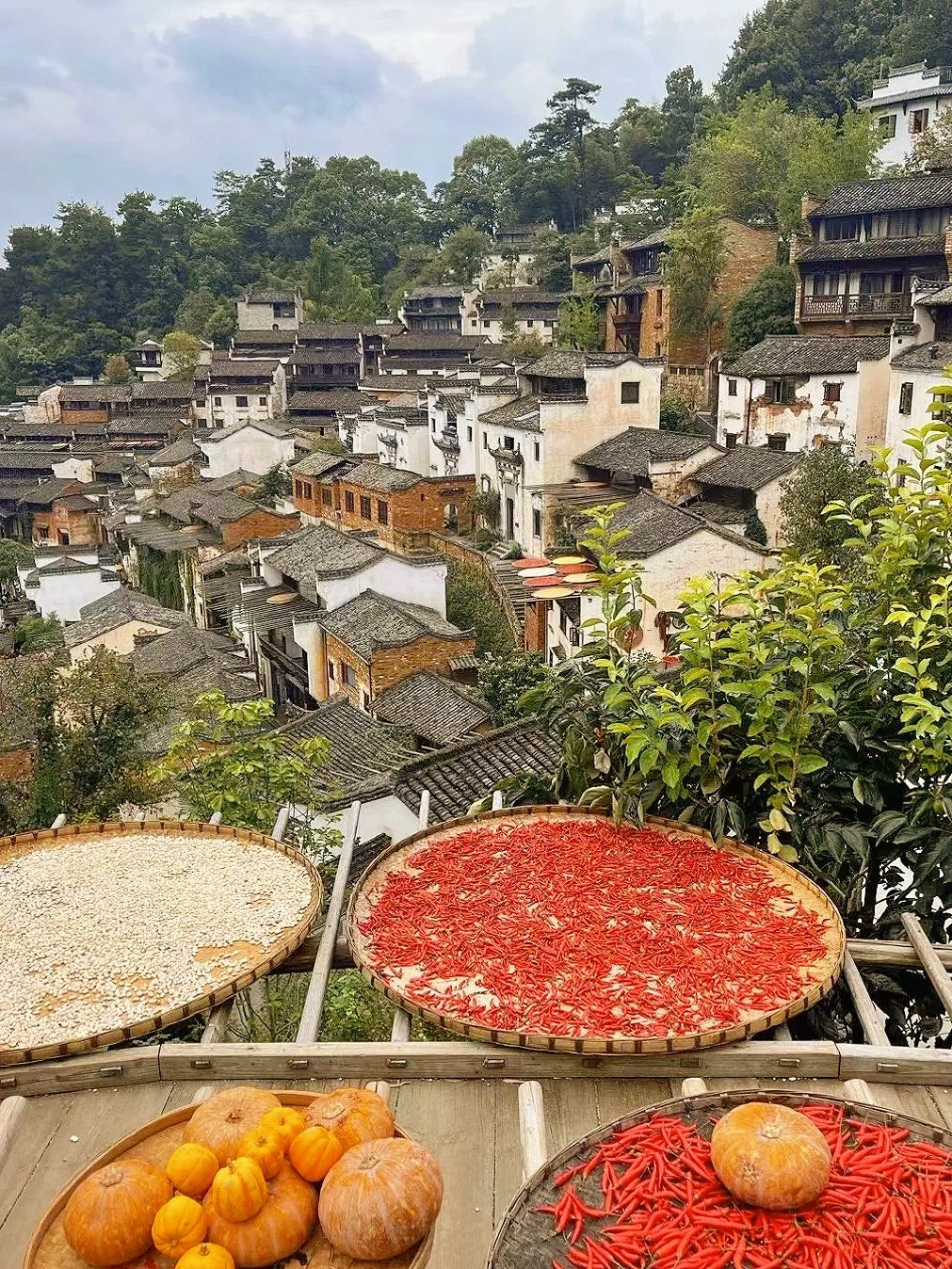 赏秋好去处–婺源旅游攻略