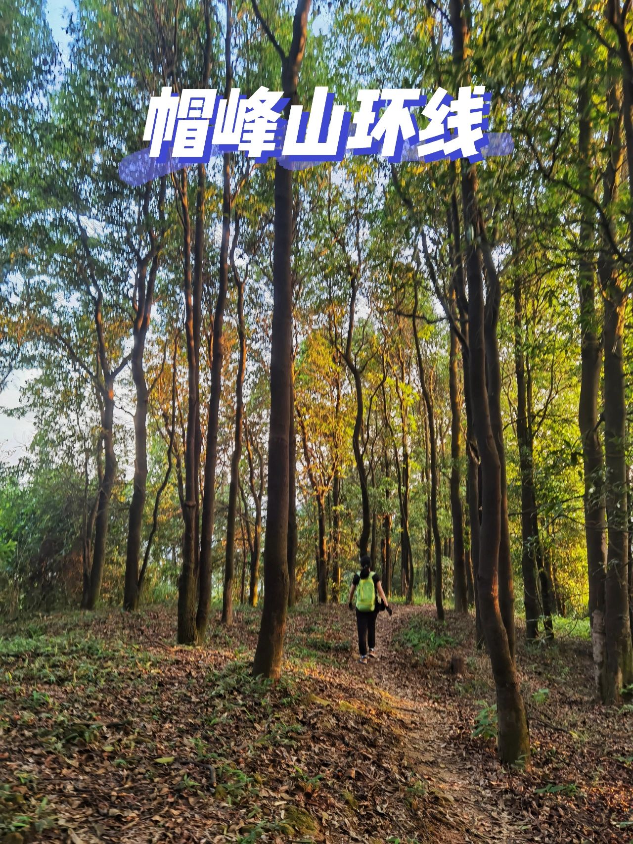 徒步｜帽峰山环线