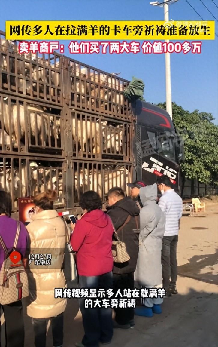 网传多人在拉满羊的卡车旁祈祷准备放生？卖羊商户称他们买了两车羊价值100多万，市