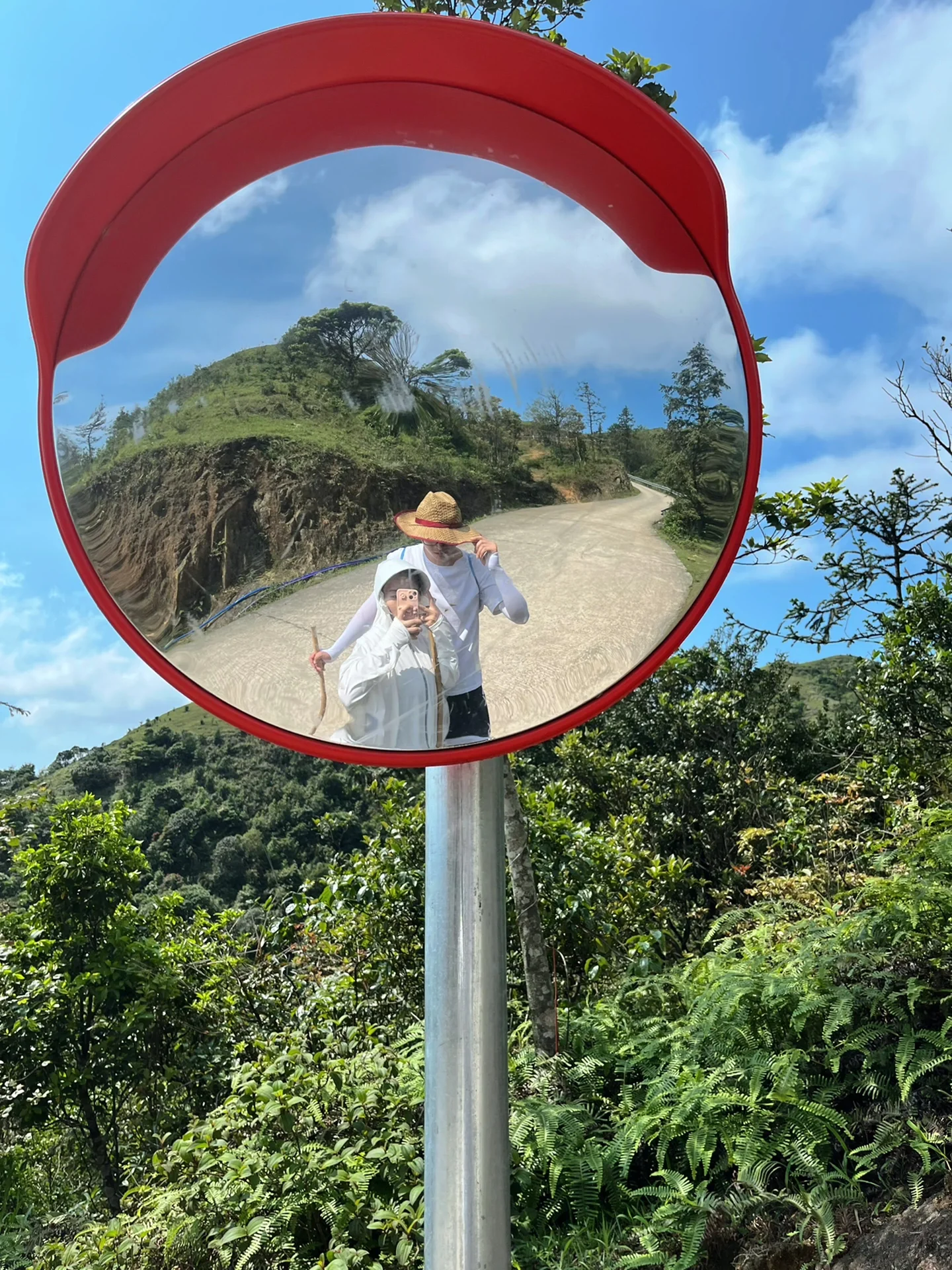 首刷阳春鸡笼顶，下次我还敢…