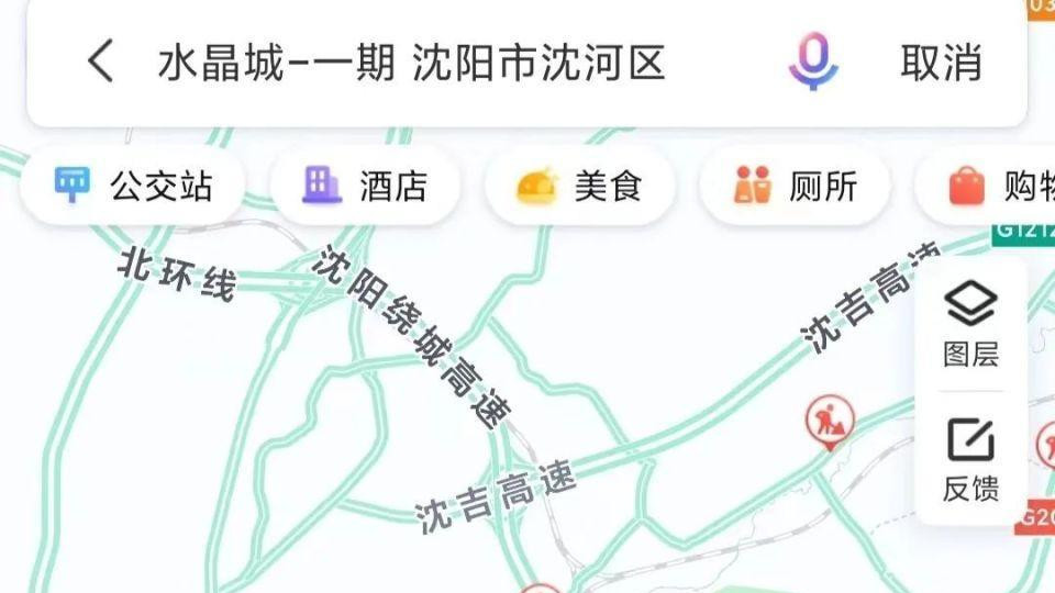 速度飞快！沈阳小区惊现三头野猪狂奔！业主：玻璃都被撞碎了！