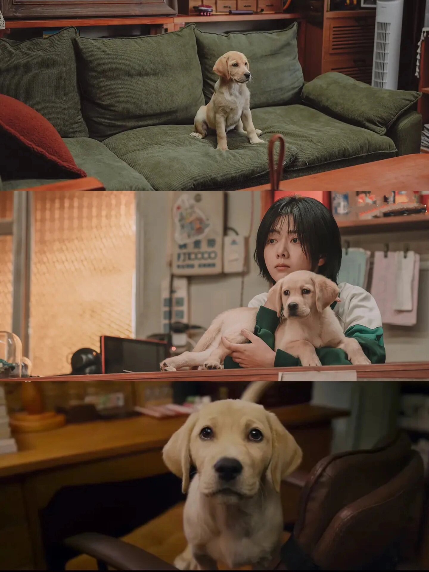 没想到这么好哭！看完喜提泪失禁