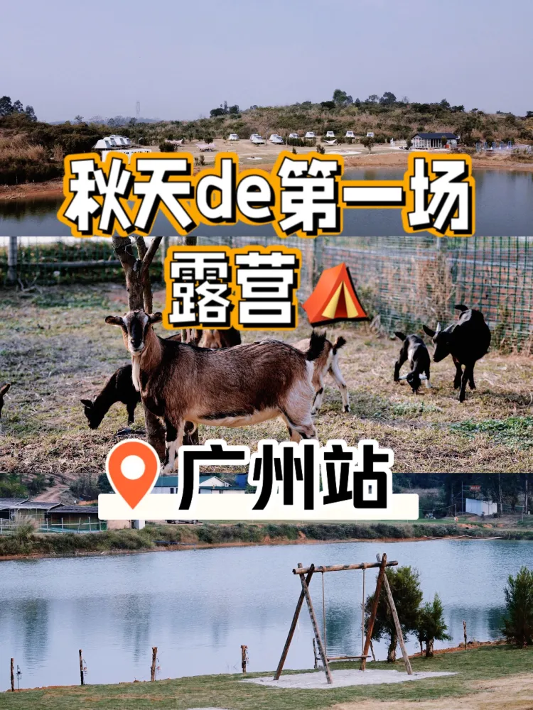 绝了广州花都这个露营地是来报恩的吧