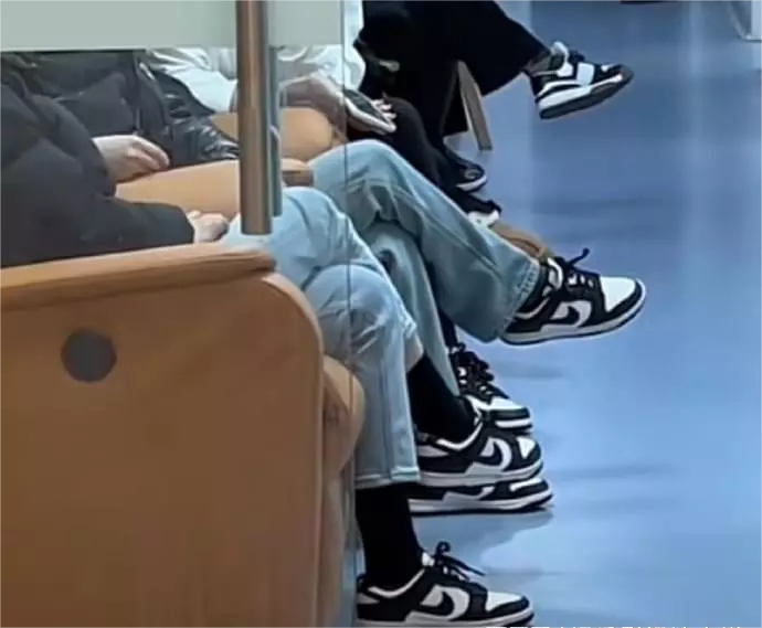 这双鞋查重率百分之九十九 ​