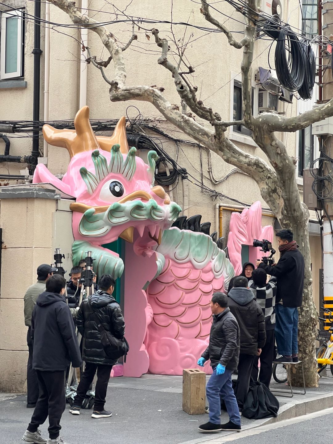 安福路又搞什么事啦？！相当炸裂！！！
粉色的龙好萌！！！