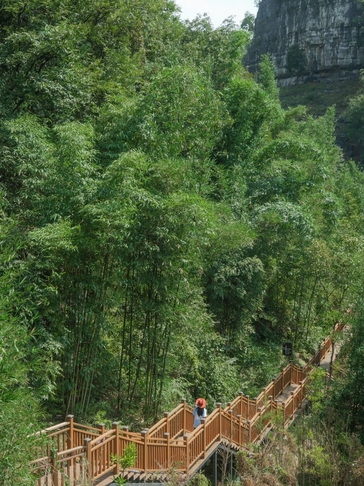 宜宾拍照🌳·奔赴山野拥抱18 ℃的夏天