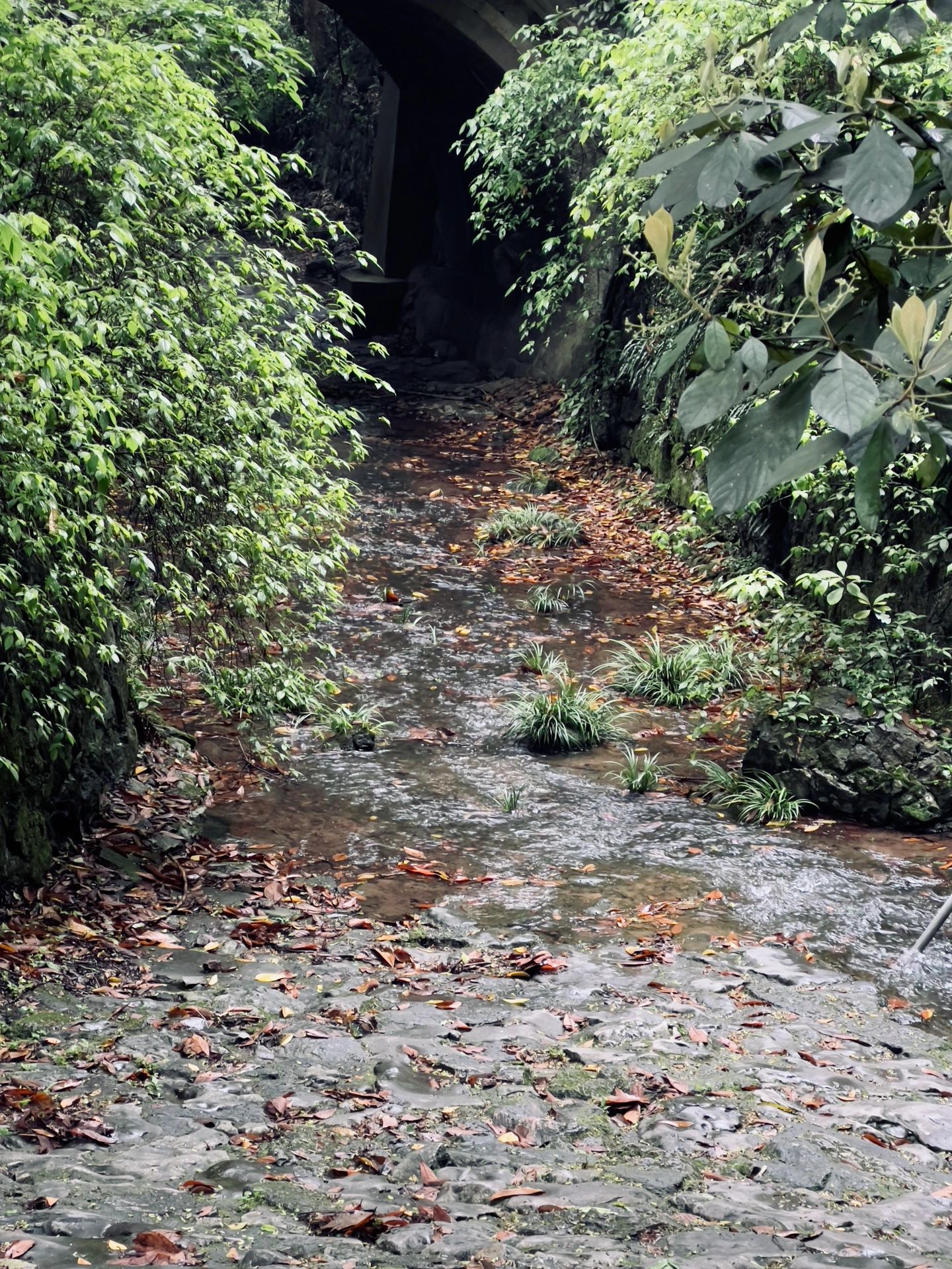 雨天徒步飞来峰灵隐寺