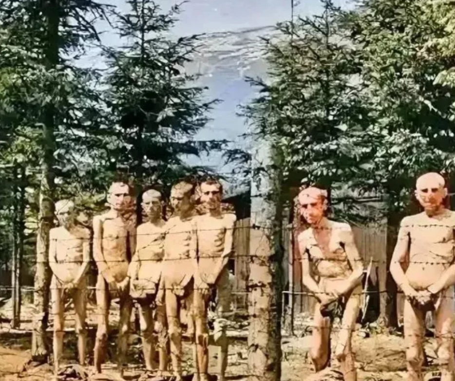 这是1945年在第二次世界大战期间法西斯纳粹集中营拍摄的。


这些被关押的俘虏