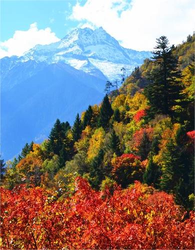 川西的深秋：处处风景如画 这几个景点必去