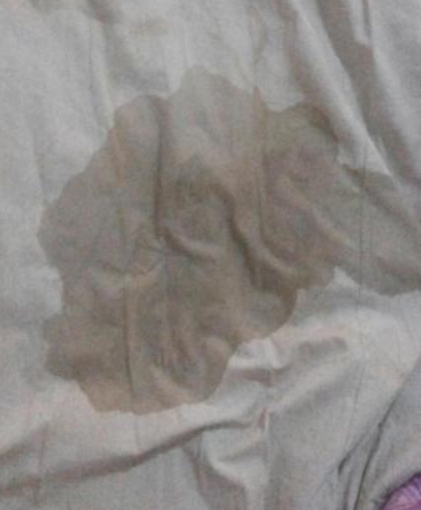 丢死人了！带男朋友回老家见家长，爸妈很开心，因为还没结婚，晚上男朋友和我爸睡一个