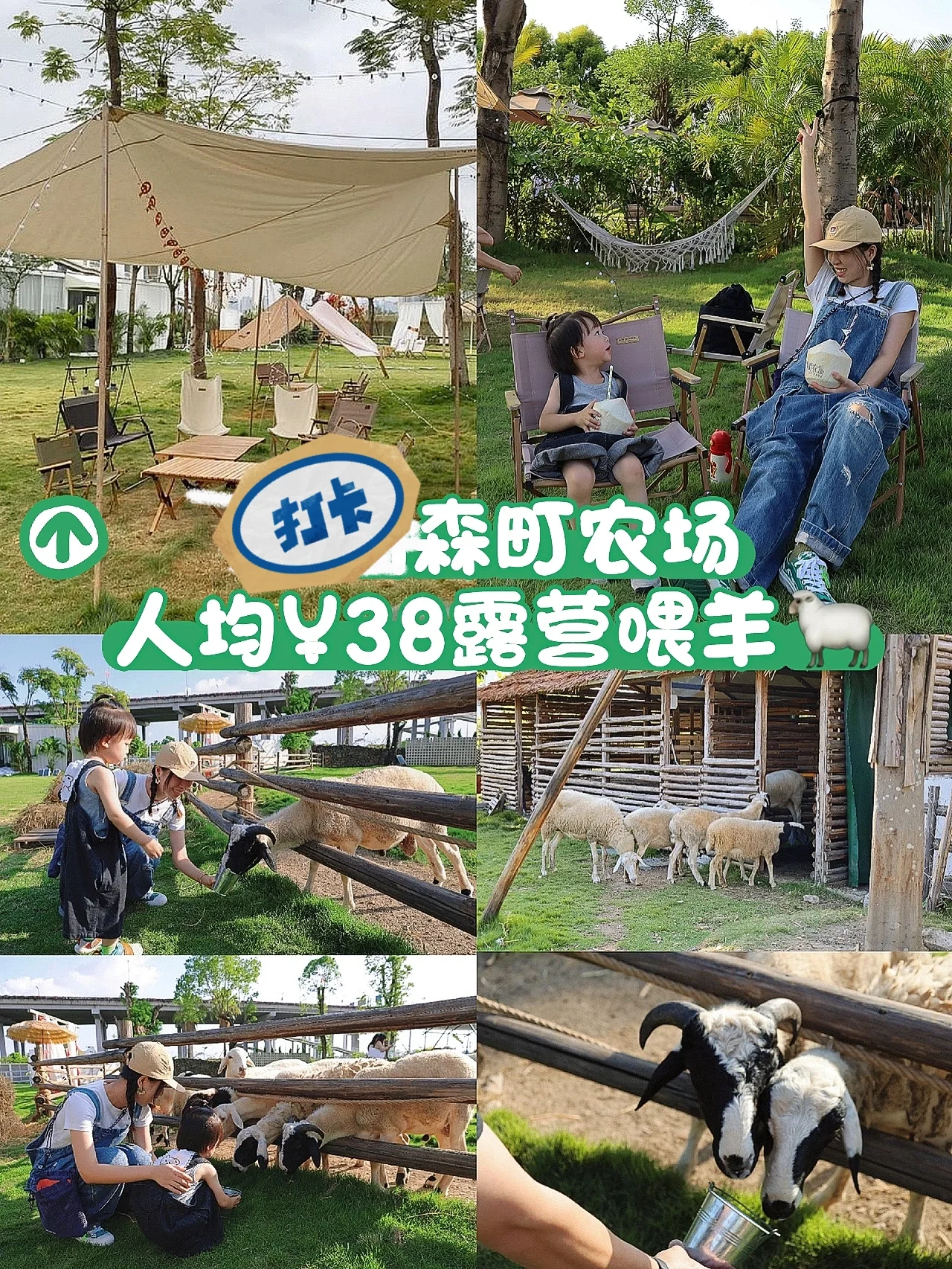 广州周末去哪玩？当天来回农场露营体验日