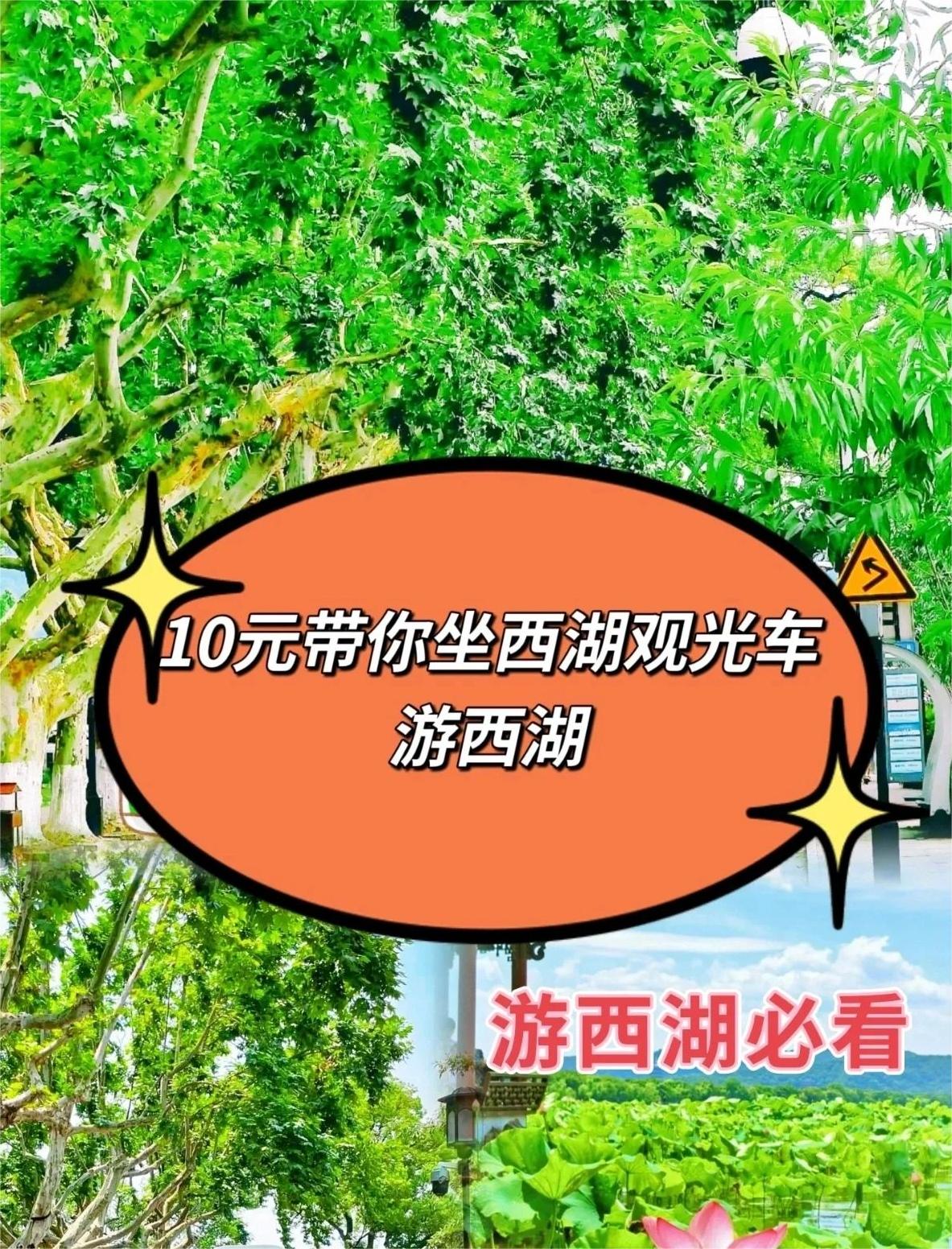 10元坐西湖观光车游西湖（游西湖必看）