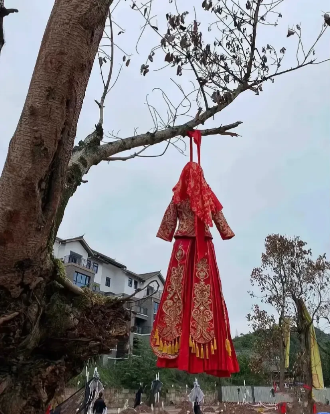 大龄单身女穿嫁衣上吊了！单身男女不要想不开！生命才是第一位的，结婚不是。

所以