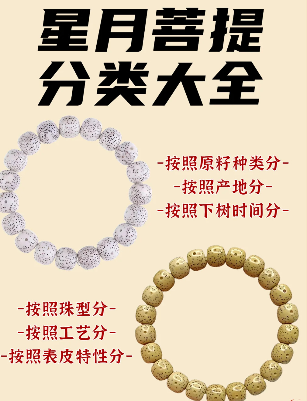 文玩科普鉴定｜星月菩提分类大全