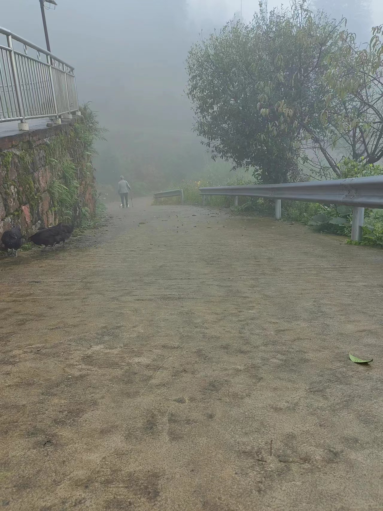 小时候不明白父亲，
为什么打工回家一放下行李，
不管天晴下雨，
都会去田间地头转