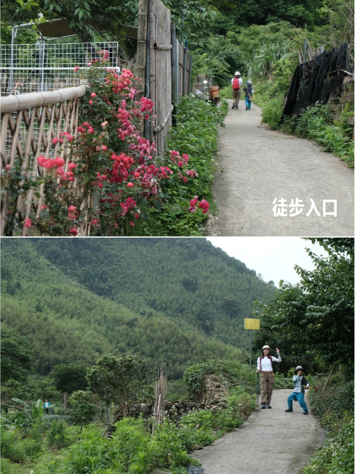 亲子徒步 | 从化溪头-阿婆六观星线