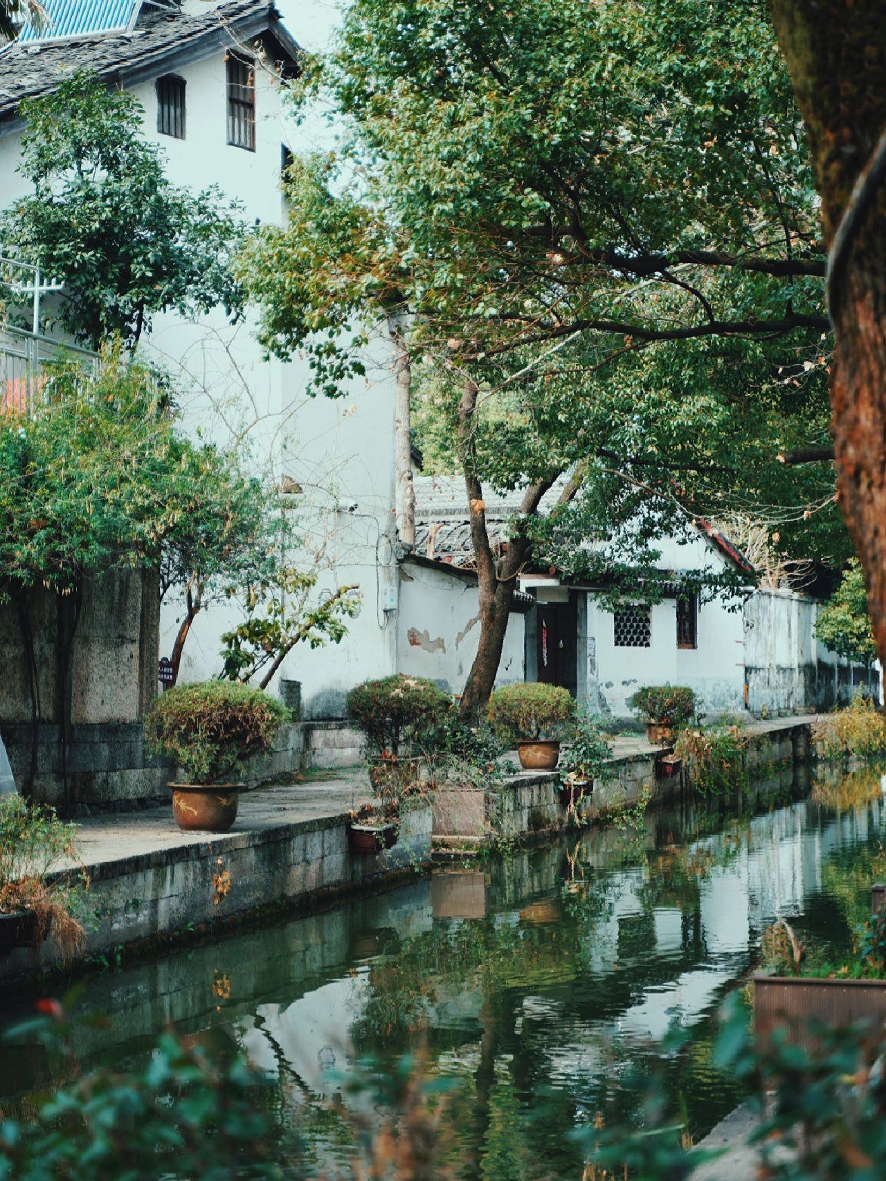 写给第1次去绍兴的你😋20条旅行建议