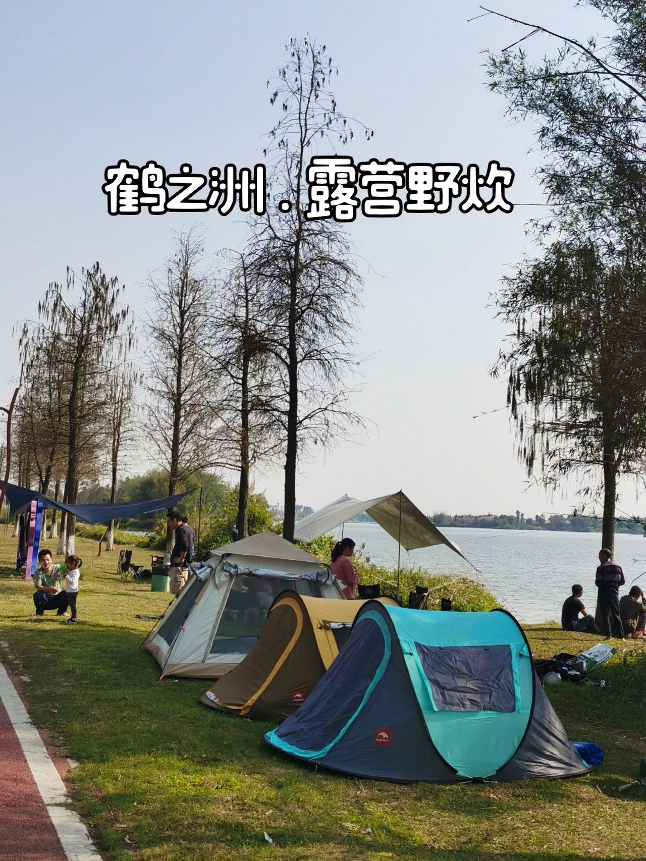 广州 增城 | 0元露营 鹤之洲湿地公园