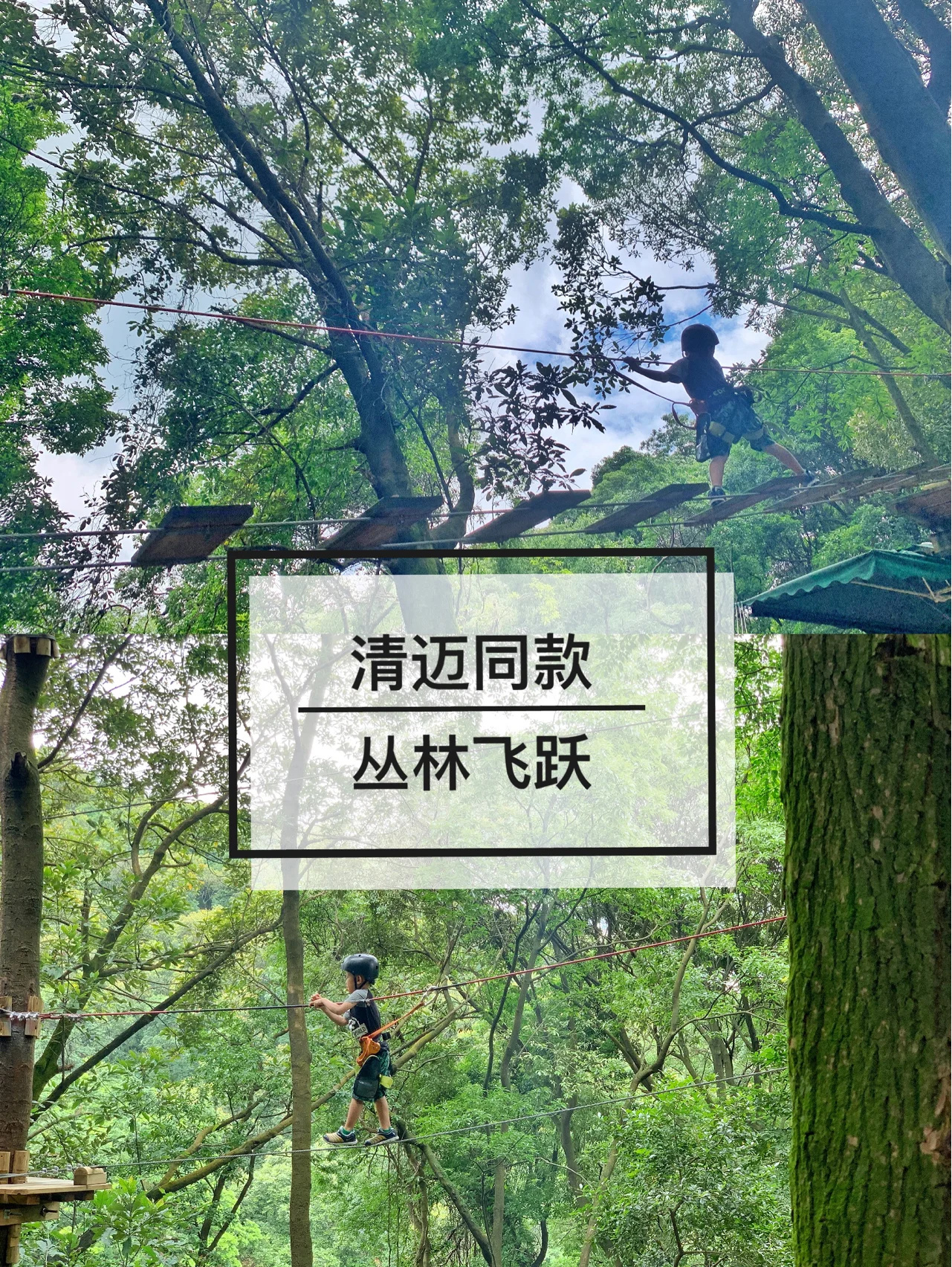 广州丛林飞跃｜森林里的勇敢者道路