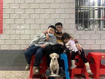 狗狗和它的朋友们，一年前与一年后 ​​​