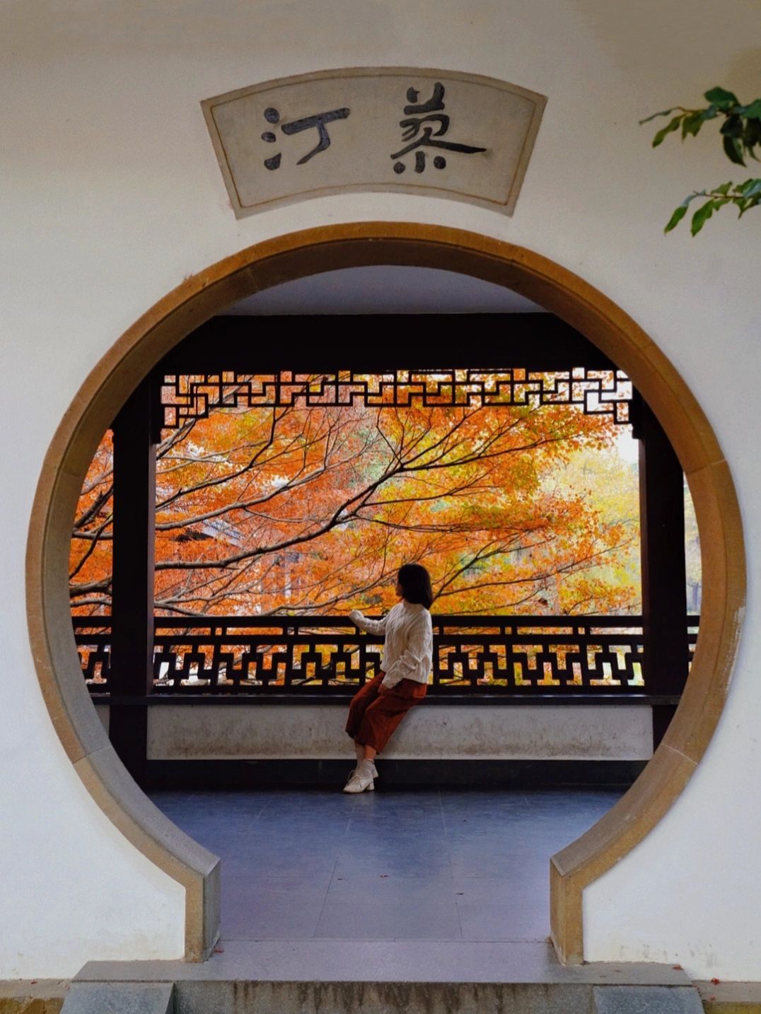 杭州红枫最具江南园林韵味,丝毫不输京都