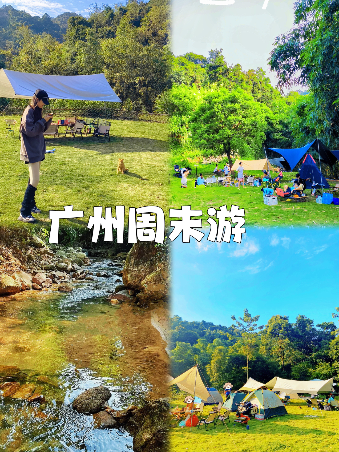 ✅不出广东二刷丨‼️赞爆朋友圈的森林露营