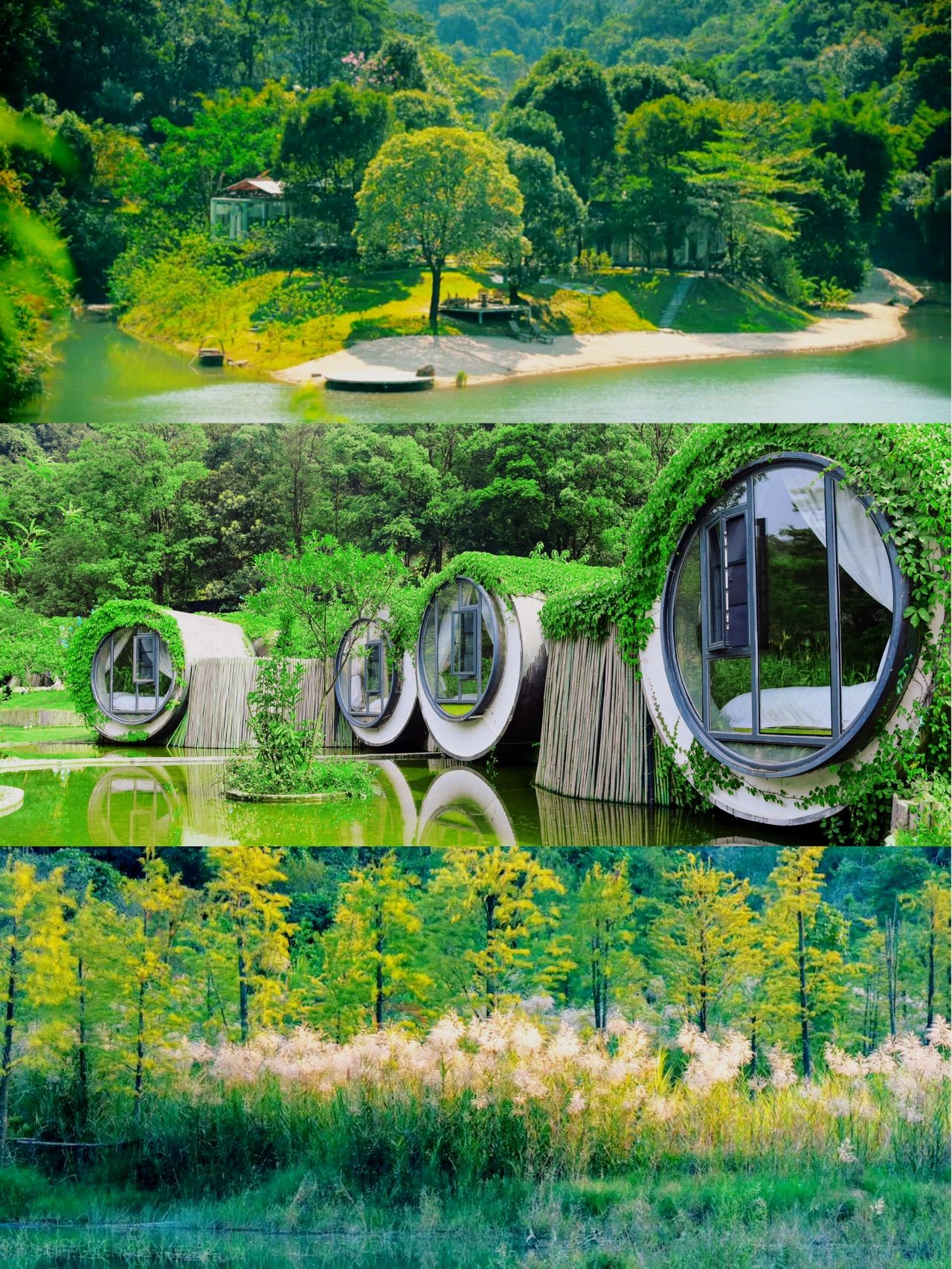 广州七溪地｜一个遗落山野的香境之地🌼