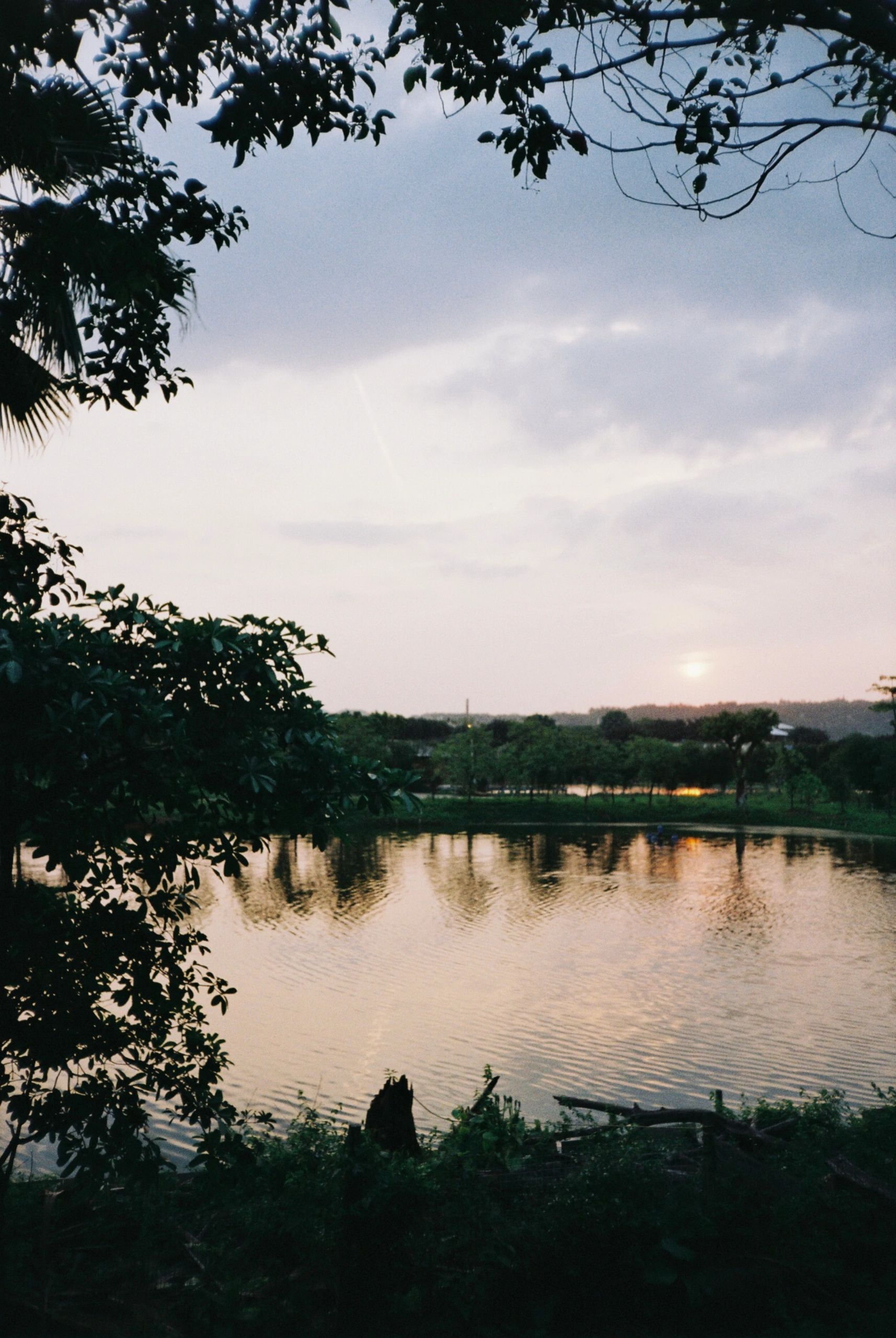 广州自驾出行 番禺海鸥岛