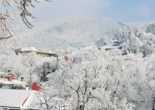 庐山雪景⛄️❄️
此行源于当初想赏雪
却害怕东北的极寒天气
于是临时决定来庐山
