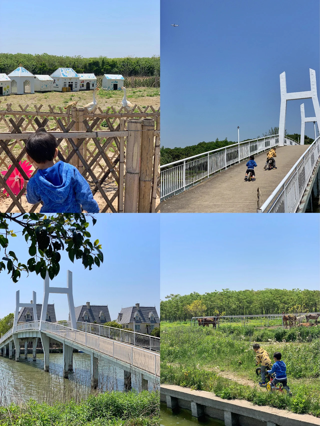 魔都一个横沙岛💙人少景美的小众田园海岛