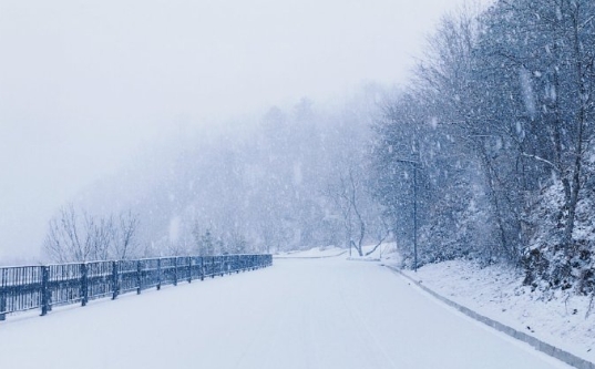 赏雪啦❄❄❄ ​