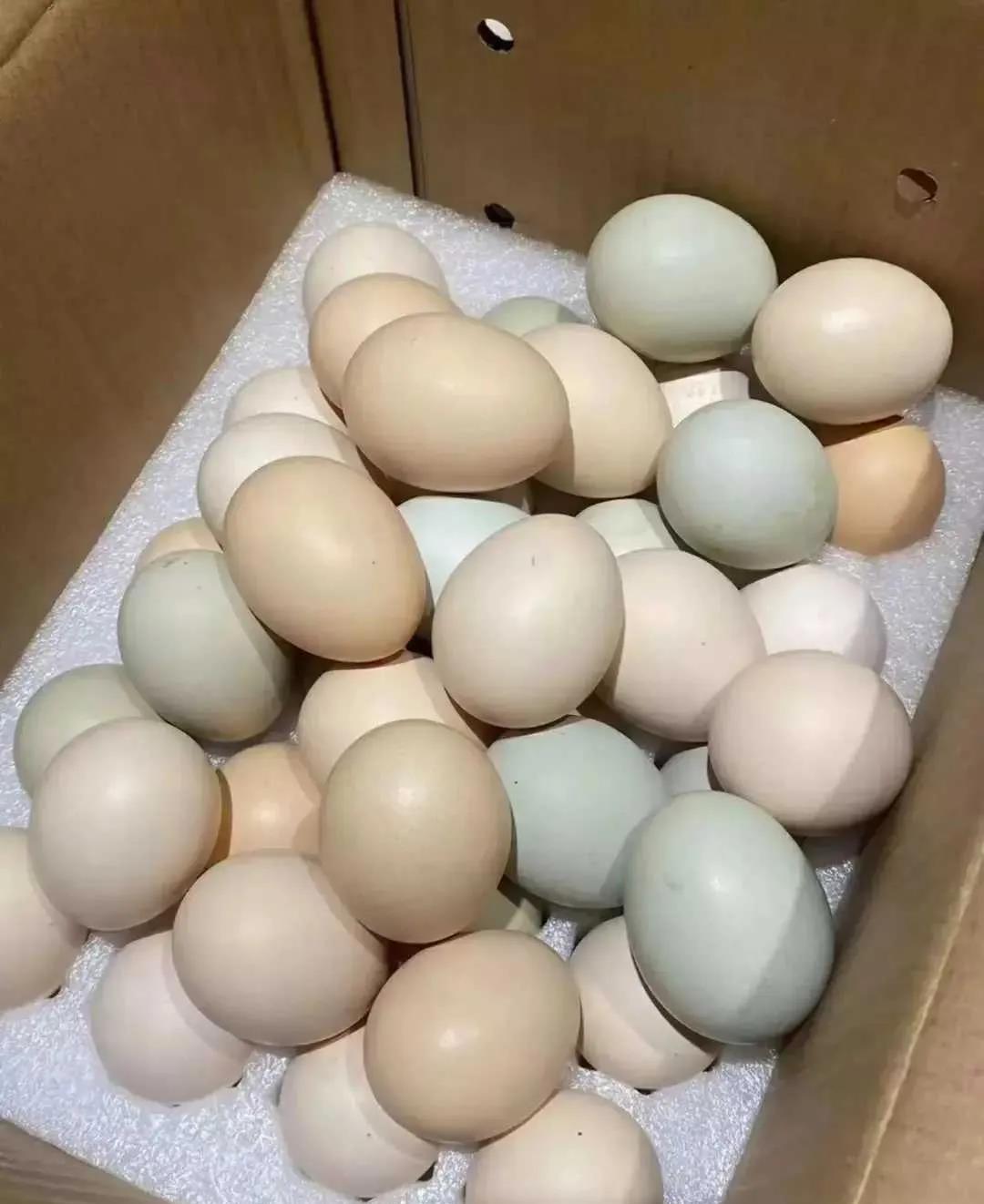
亲戚给我寄了300个土鸡蛋，我给她转了120块钱，想着鸡蛋应该100块钱差不多