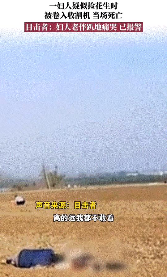 惨剧啊，10月23日，河南周口郸城县巴集乡发生一起旋耕机伤人事故，一名捡拾花生的
