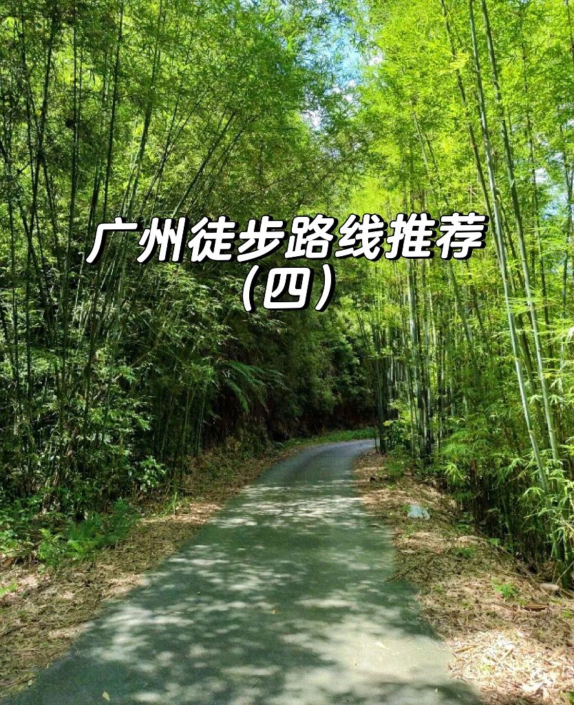 广州徒步路线推荐｜挑战从化十登之三角山