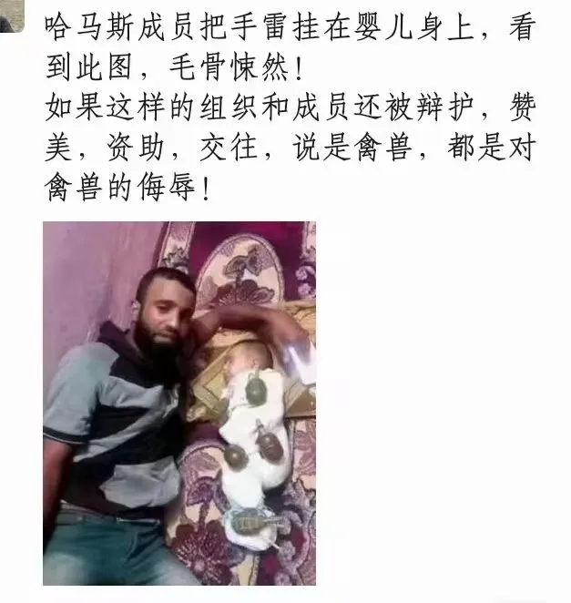 如果不是P图，我总想不明白什么才使一些人丧失了基本的人性！