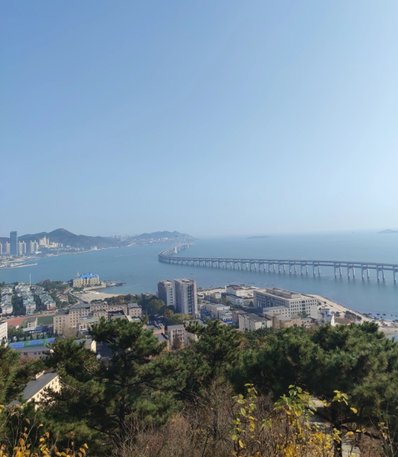 我二姨的儿子移民加拿大了，一家三口今年十一之后走的。

在亲戚圈里，我二姨是最有