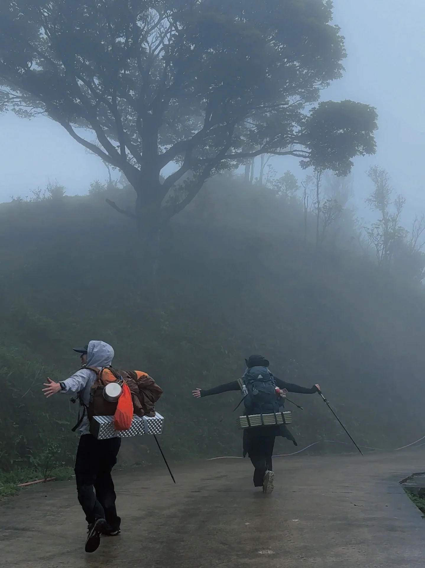徒步日记｜乌漆麻黑的乌鸡笼顶⛰️