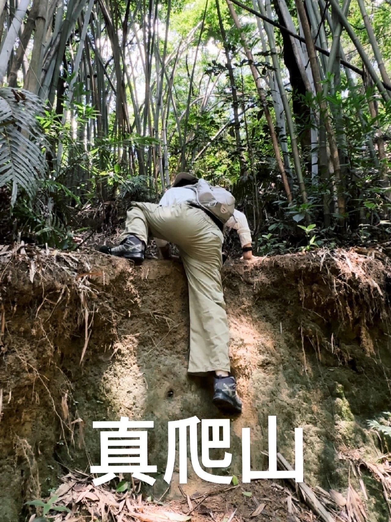 广州牛木线｜千万不要独自一人走的线