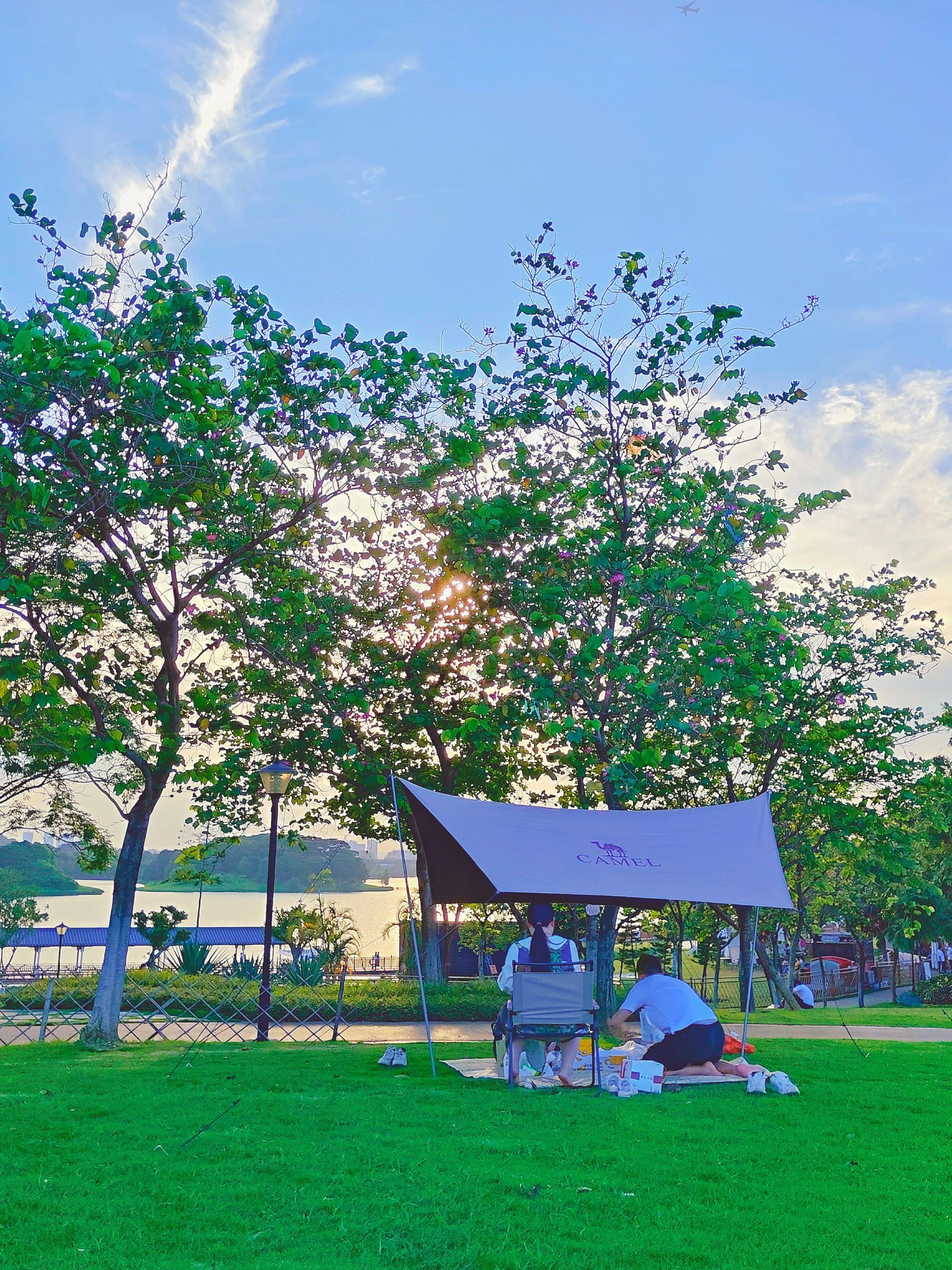 广州白云‖主推清凉夏天露营地🏕️